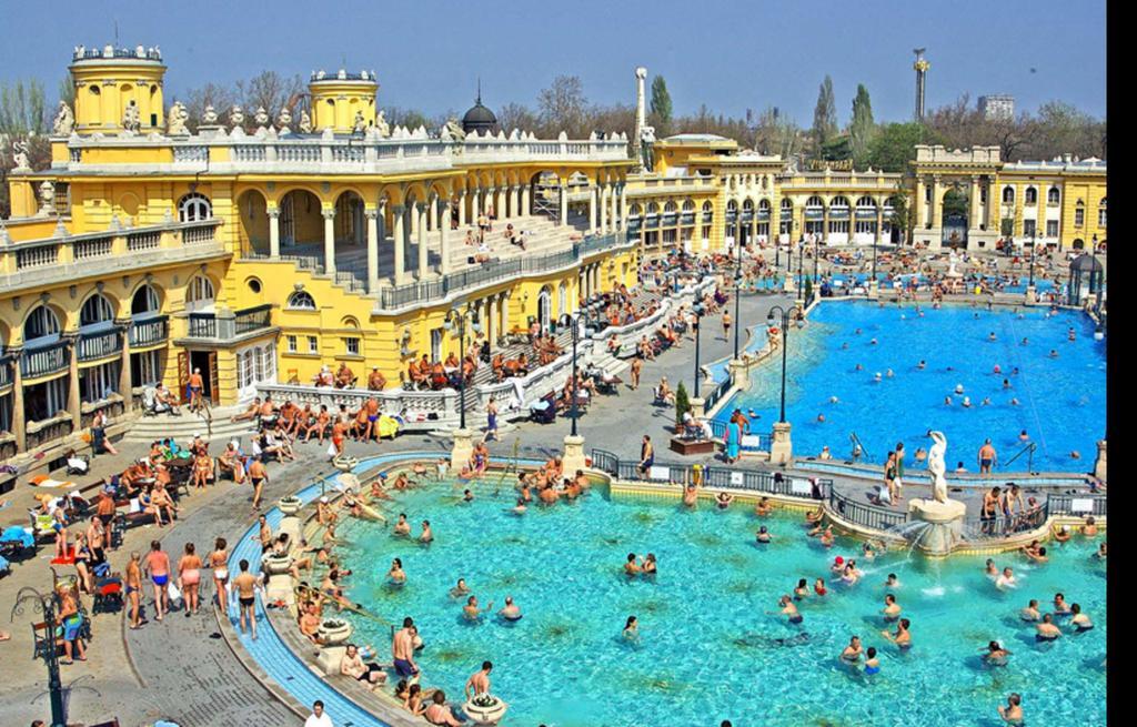 City Park Apartment Budapest Rom bilde